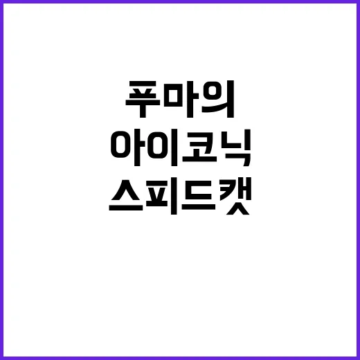 스피드캣 아카이브 …