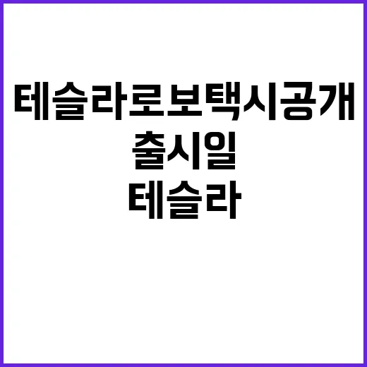 테슬라 로보택시 공개 출시일은 여전히 불확실