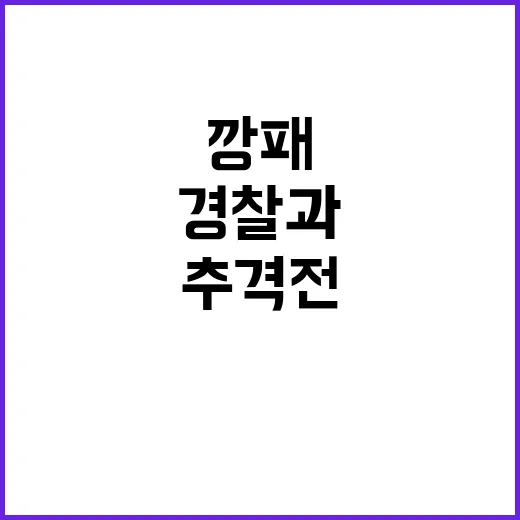 총 든 깡패 날강도…