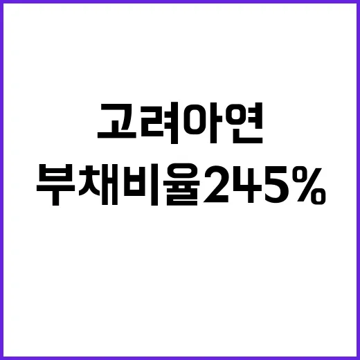 고려아연 부채비율 245%의 충격적인 예측!