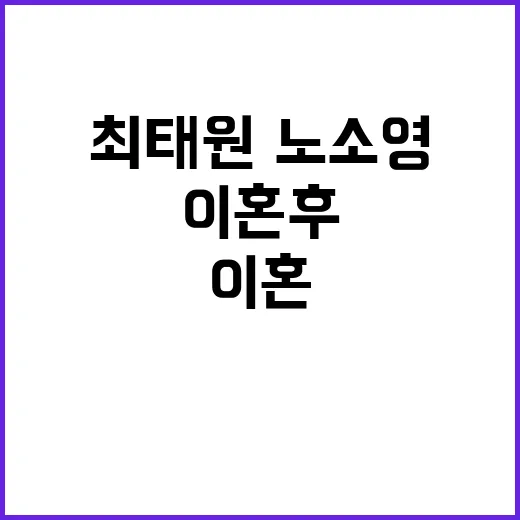 최태원·노소영 이혼…