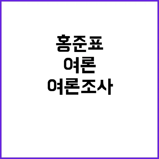 여론조사 의뢰 홍준…