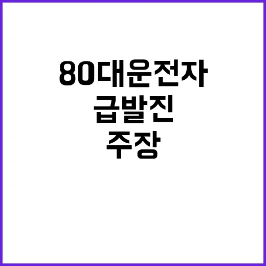 급발진 주장 80대…