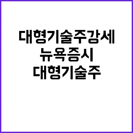 뉴욕증시 대형 기술…