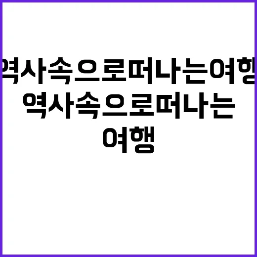 궁궐 호위군 재현 역사 속으로 떠나는 여행!