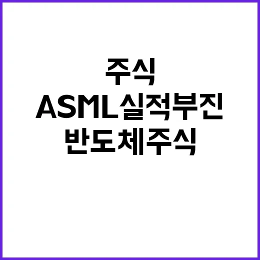 ASML 실적 부진…