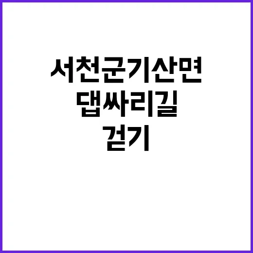 댑싸리길 서천군 기…