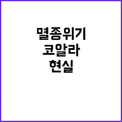 코알라 멸종 위기 …