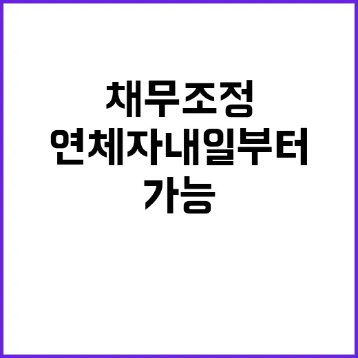 연체자 내일부터 금융사 채무조정 요청 가능!