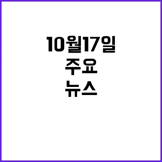 라이브투데이 10월 17일의 주요 뉴스 공개!