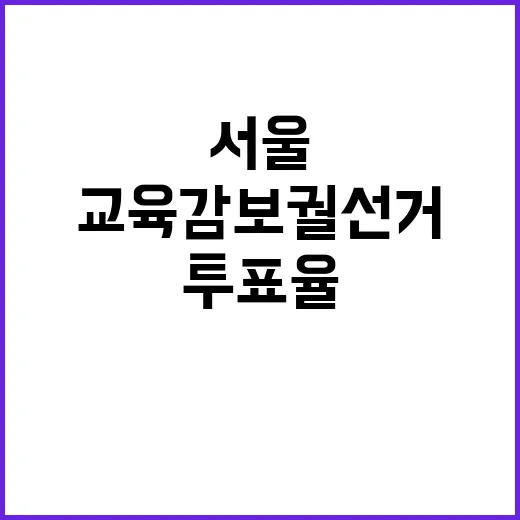 서울교육감 보궐선거…