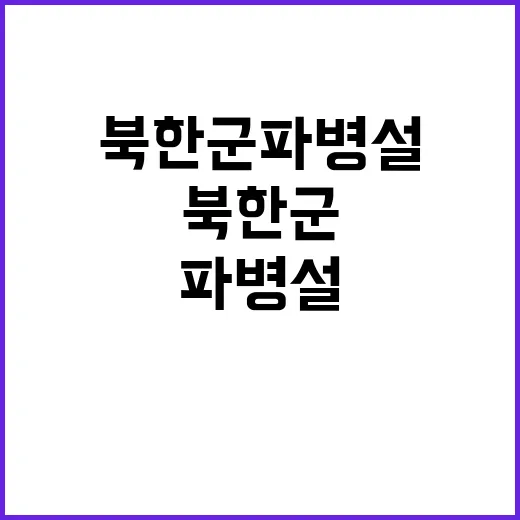 대북제재 감시체계 …