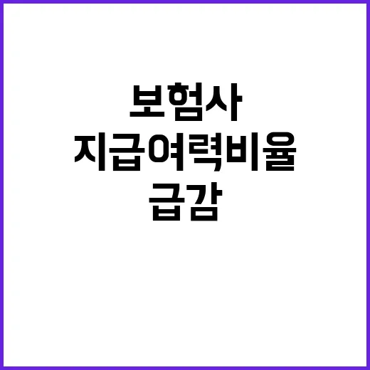 보험사 지급여력비율…