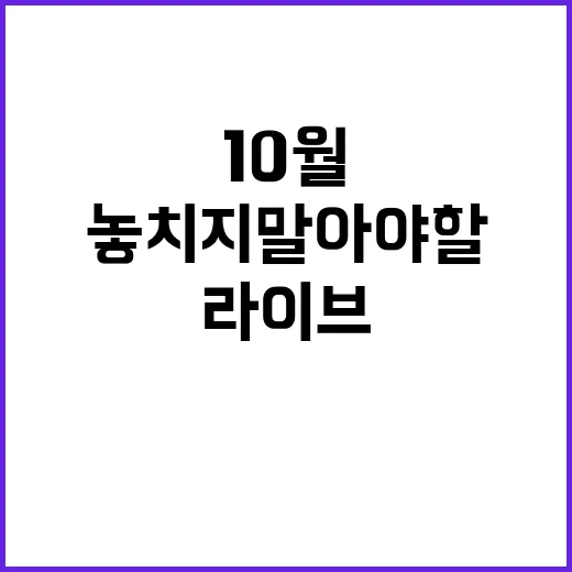 10월 17일 라이…