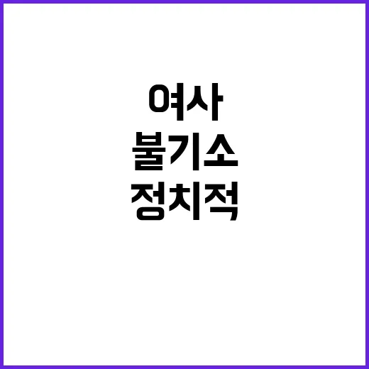 김여사 불기소 정치…