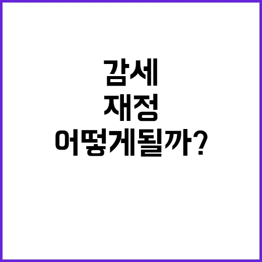 감세의 위협 재정 …