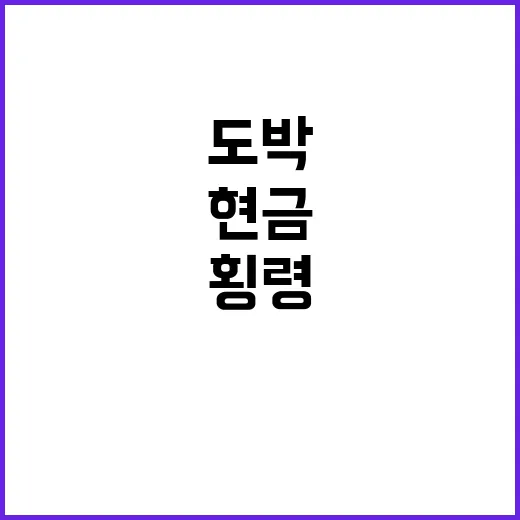 도박판서 현금! 횡…