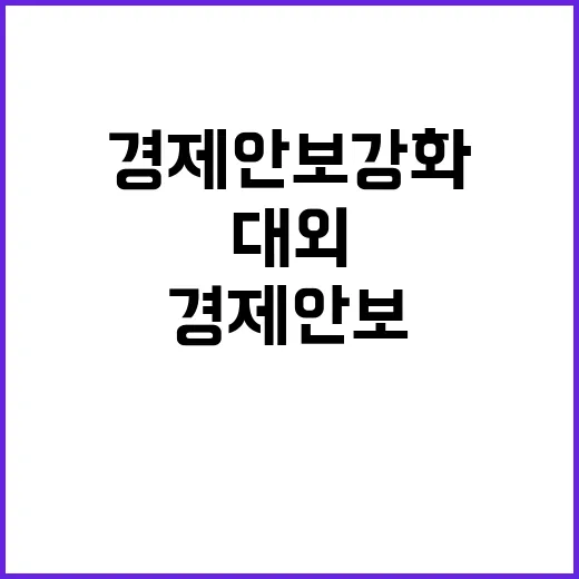 경제안보 강화 대외…