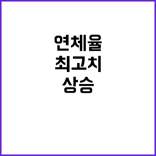 연체율 최고치 대기업 제외 모두 상승 충격!