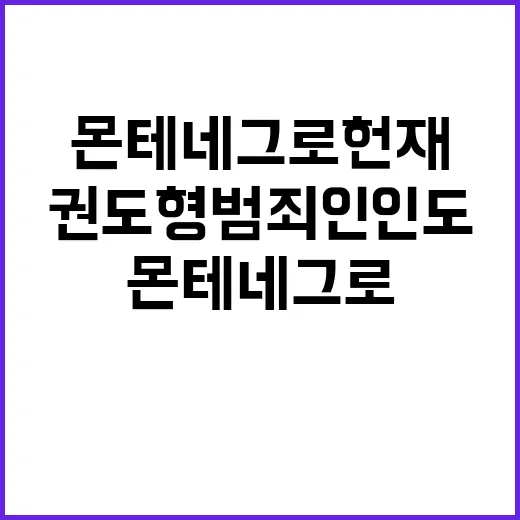 몬테네그로 헌재 권도형 범죄인 인도 전격 중단!