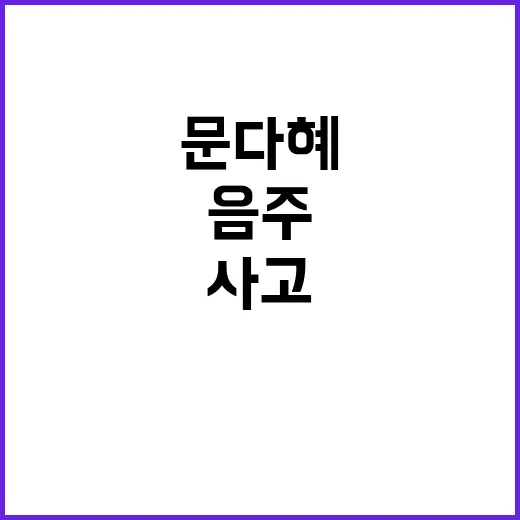 음주 사고 문다혜의…