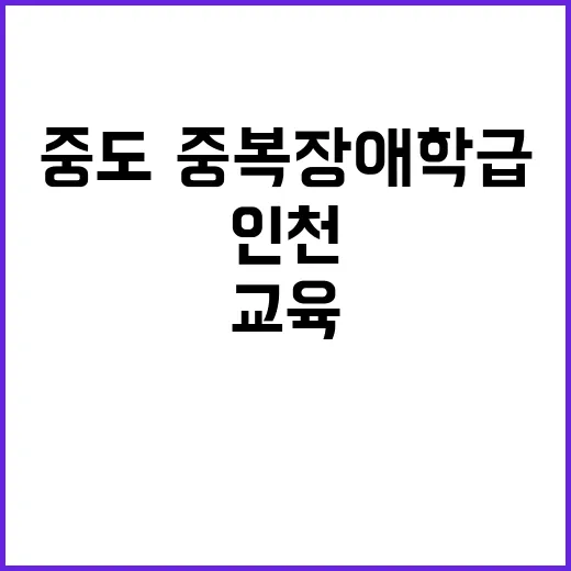 중도·중복장애 학급…