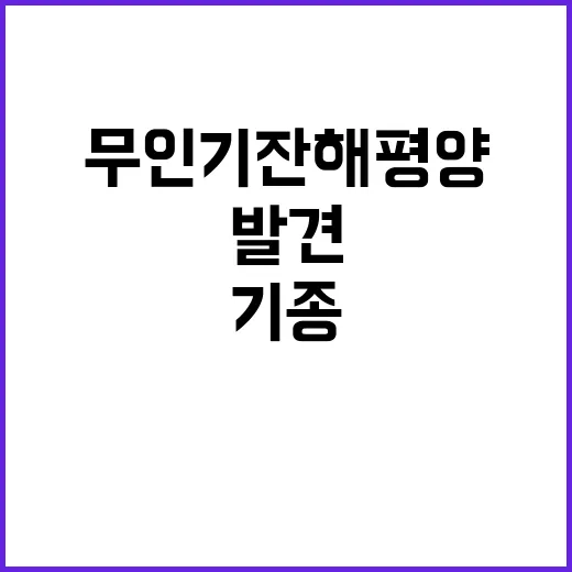 무인기 잔해 평양에…