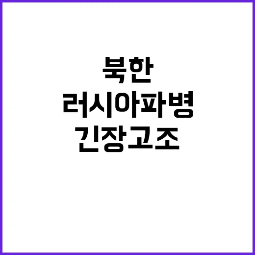 북한 러시아 파병 전 세계 긴장 고조 중!