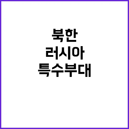 군사정찰위성 북한 …