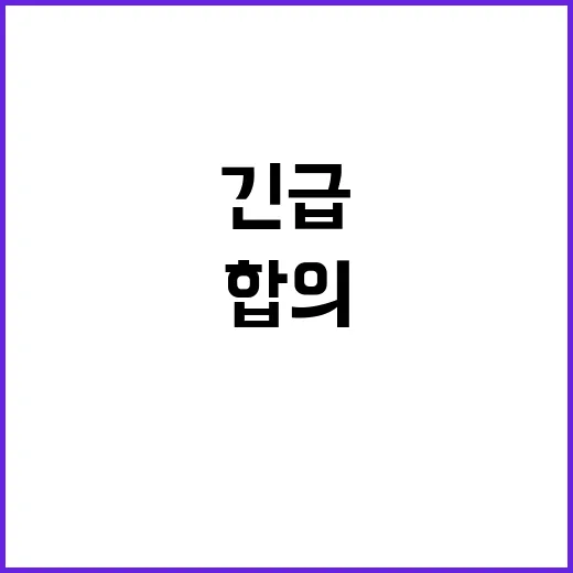 헌정유린 대통령실의 긴급 합의 발표! 