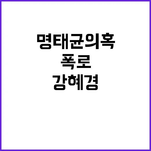 명태균 의혹 강혜경의 강력한 국감 폭로!