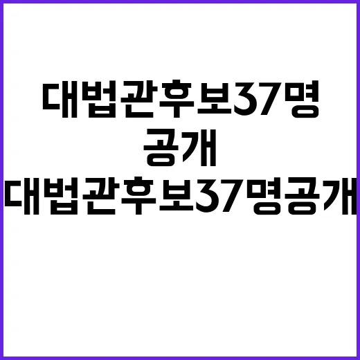 대법관 후보 37명 공개 관심 집중!