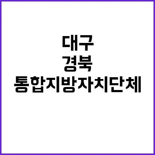 통합 지방자치단체 …