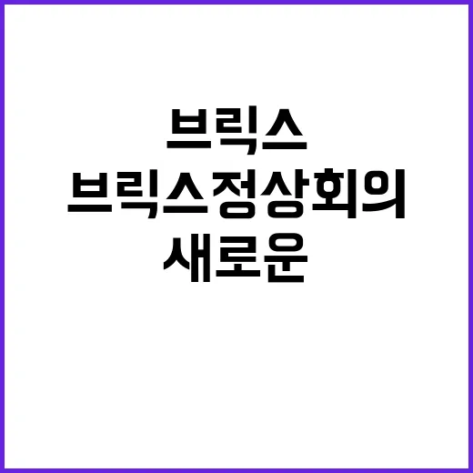 브릭스 정상회의 새로운 국제결제 시스템과 안보 대안