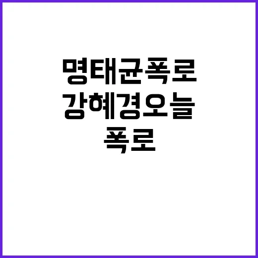 명태균 폭로 강혜경 오늘 소환 조사로 긴장 고조