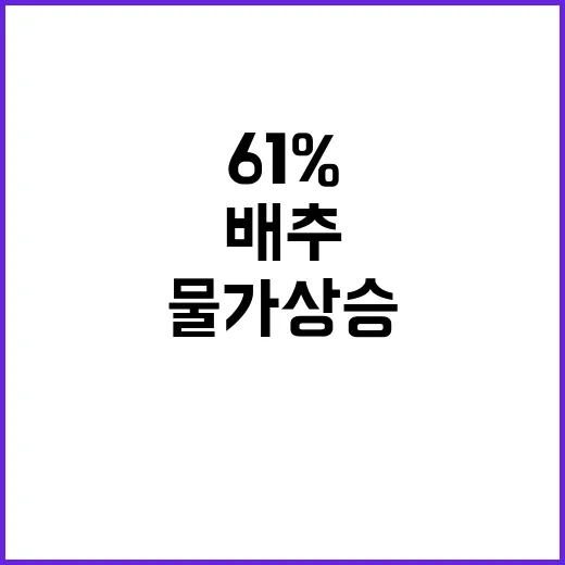 농산물 물가 상승…배추 61% 증가 사실!