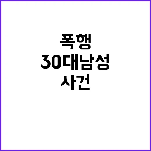 폭행 사건 30대 …