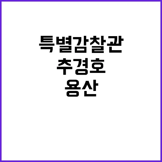 특별감찰관 임명 용…