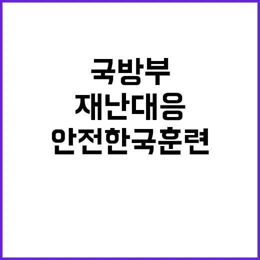 재난대응 국방부의 …