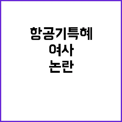 김 여사 항공기 특…