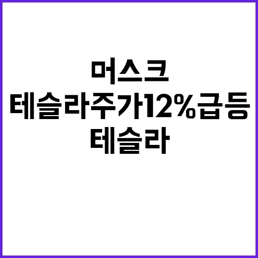 성장! 머스크 테슬라 주가 12% 급등 예고!