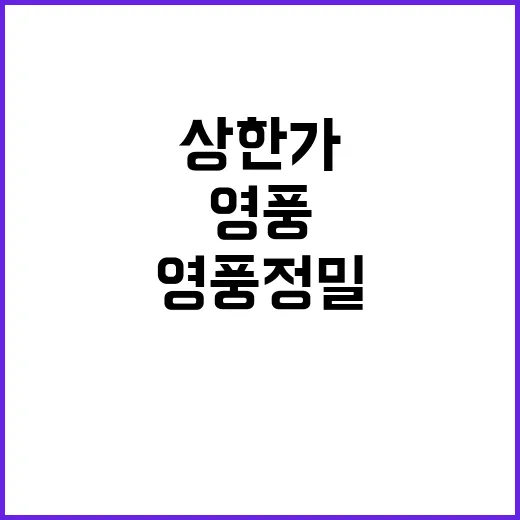 영풍정밀·고려아연 …