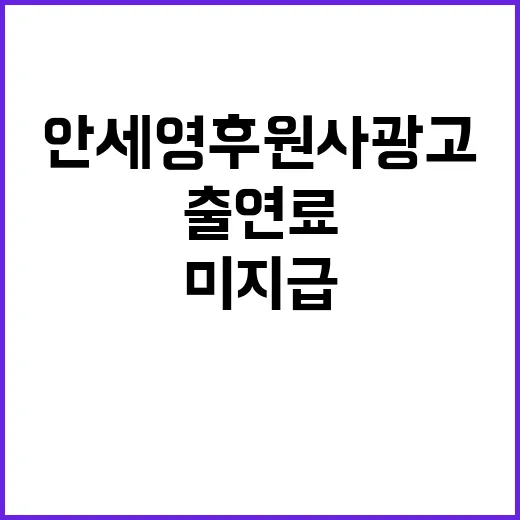 출연료 미지급! 안세영 후원사 광고 논란