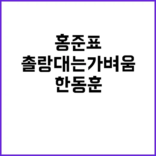 홍준표 한동훈 겨냥…