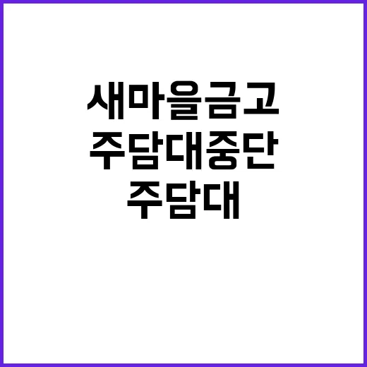 주담대 중단 새마을금고의 풍선효과 방지 전략!