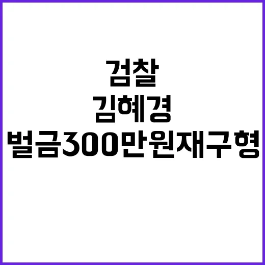 검찰 김혜경 벌금 300만원 재구형 결정!