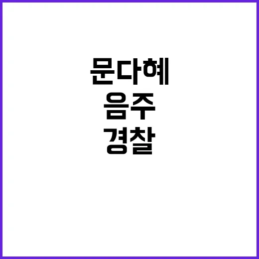 ‘문다혜 음주’ 사…