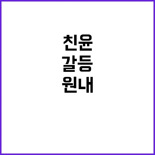 친윤 갈등 원내대표 권한 인정 필요성 언급