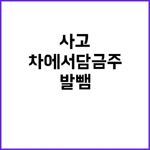 음주 사고 공무원 …