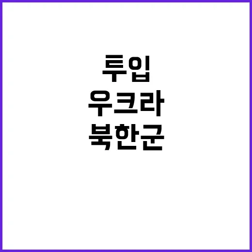 우크라전쟁 북한군 …